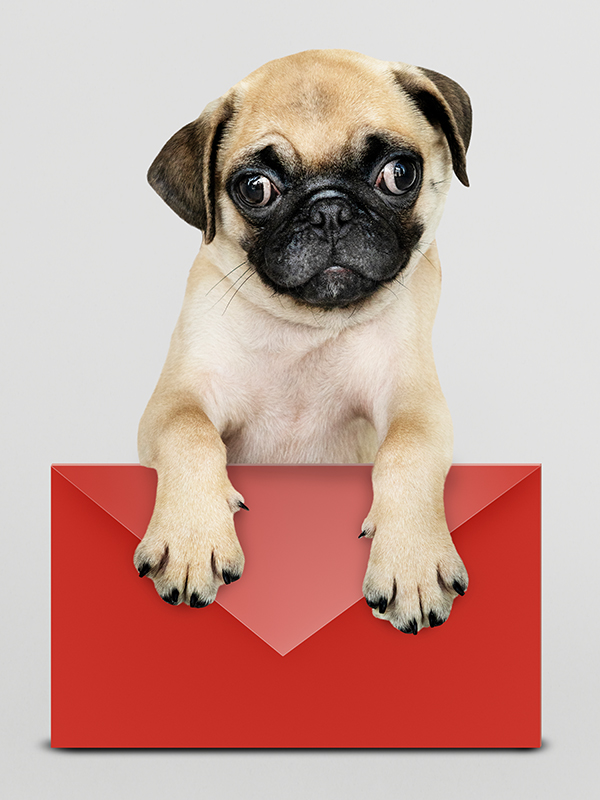 E-Mail schreiben